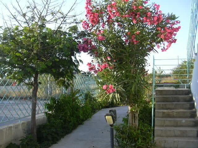 קאלאסטה Villa Acquamarina מראה חיצוני תמונה