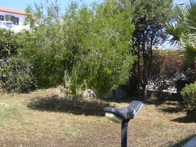 קאלאסטה Villa Acquamarina מראה חיצוני תמונה